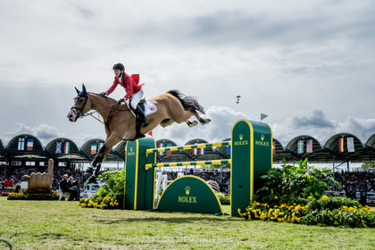 Groom Your Horse like an Olympian with Mane 'n Tail