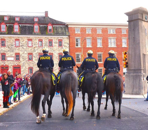 Five Police Horse Units in the United States