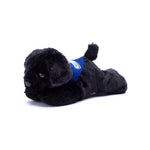Small Black Labrador dog stuffed animal wearing a royal blue branded mane 'n tail bandana. Standing in a white background