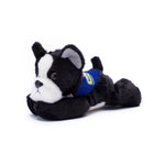 Small Boston Terrier dog stuffed animal wearing a royal blue branded mane 'n tail bandana. Standing in a white background