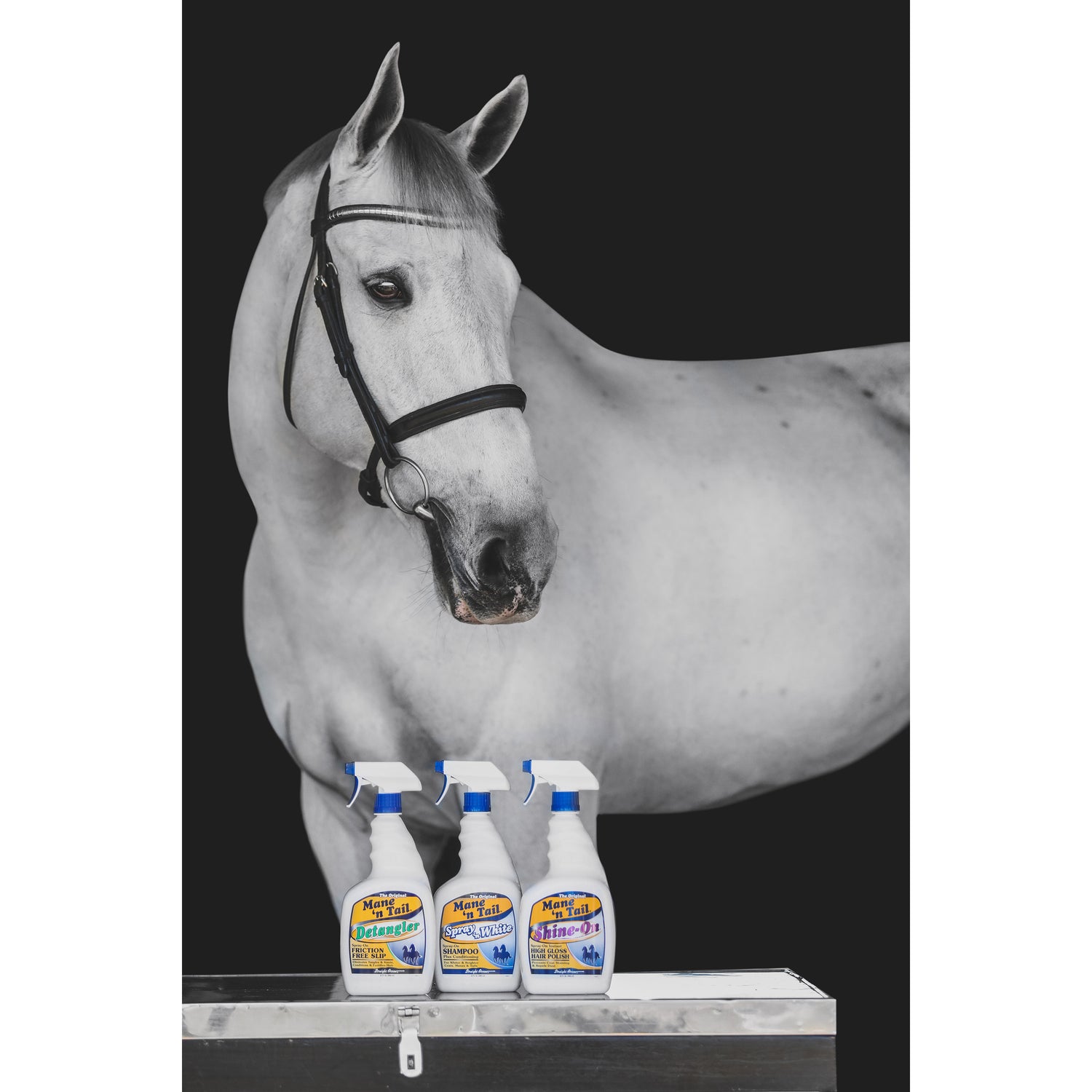 Horse with three bottles of spray on a black background