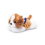 Small Cavalier King Charles dog stuffed animal wearing a royal blue branded mane 'n tail bandana. Standing in a white background