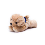 Small Golden Lab dog stuffed animal wearing a royal blue branded mane 'n tail bandana. Standing in a white background