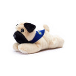 Small Mr.Pugster Pug dog stuffed animal wearing a royal blue branded mane 'n tail bandana. Standing in a white background