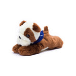 Small Bulldog stuffed animal wearing a royal blue branded mane 'n tail bandana. Standing in a white background