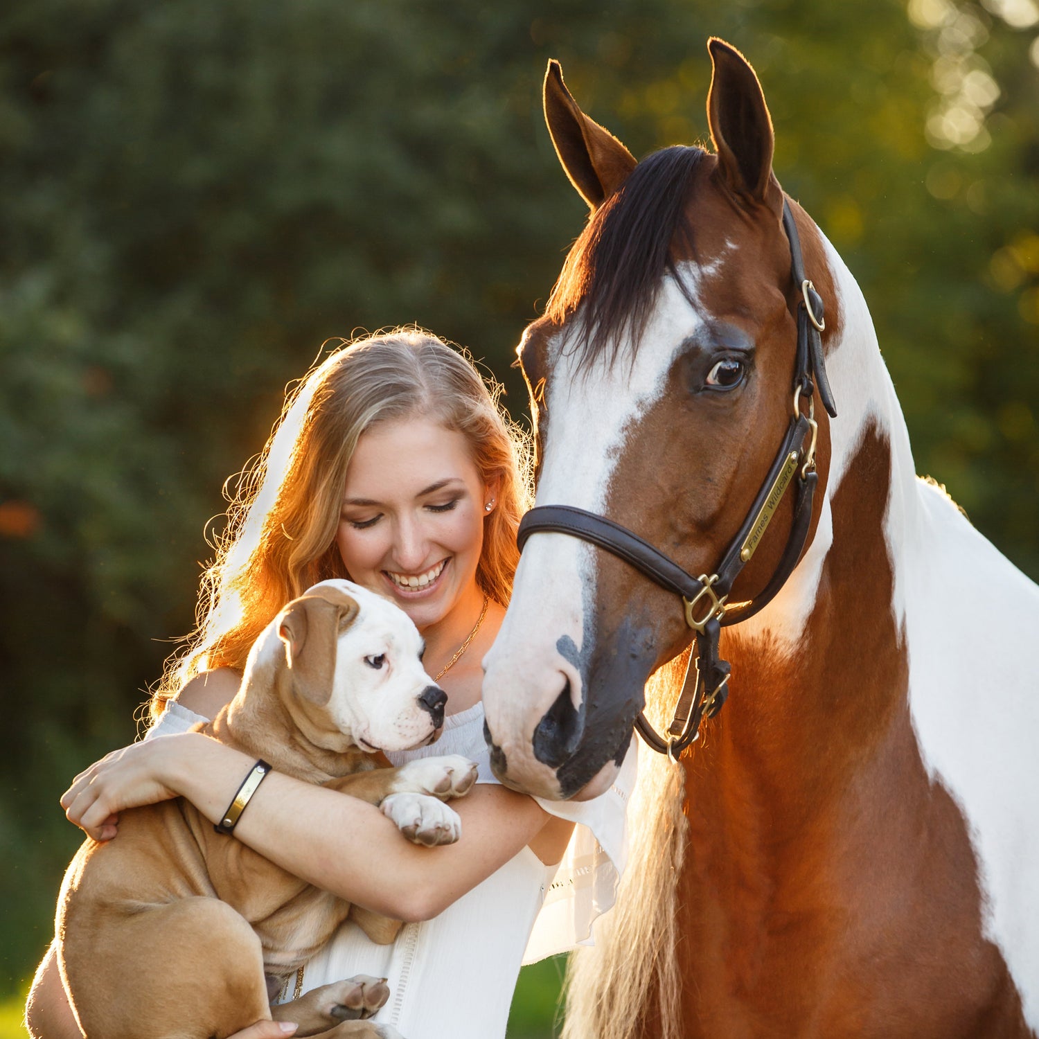 Woman holding a dog next to a horse in a natural setting