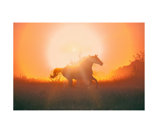 Year of the Fire Horse