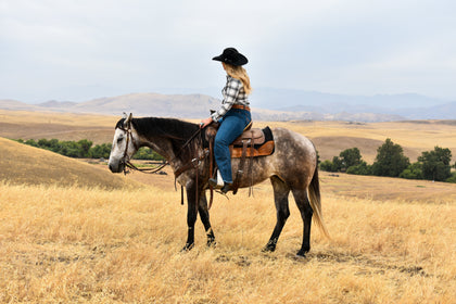 The American Quarter Horse: Built Different