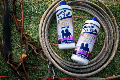 Behind the Bottle: Coconut Oil: A Trusted Ingredient for Healthy Skin and a Brilliant Coat