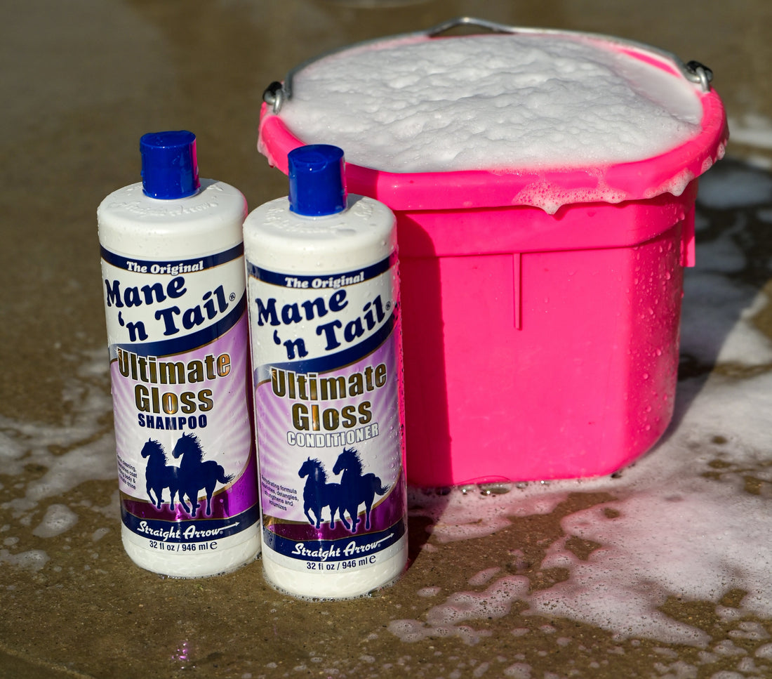 Seasonal Horse Grooming Guide: Year-Round Care for Your Horse