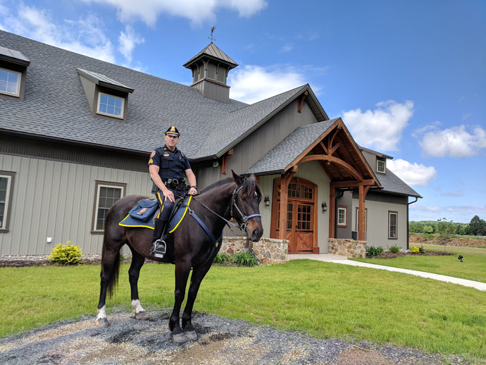 5 Facts About the Bethlehem Mounted Police Unit