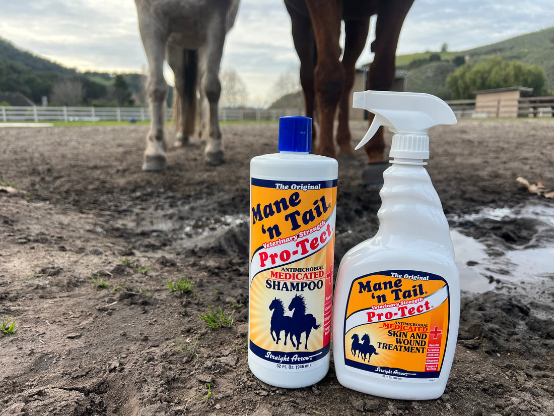 Mud Season Survival Guide