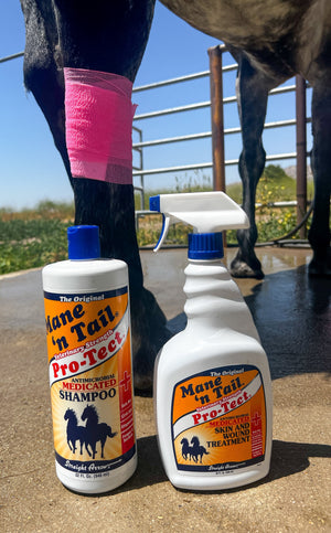 When Horses Find Trouble: Heal with Mane ‘n Tail’s Pro-Tect