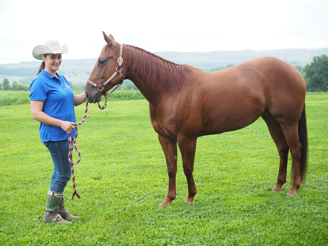 Mane 'n Tail Talks to Samantha Musante