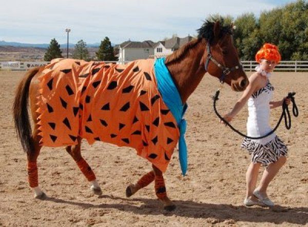 Amazing Horse and Rider Costumes
