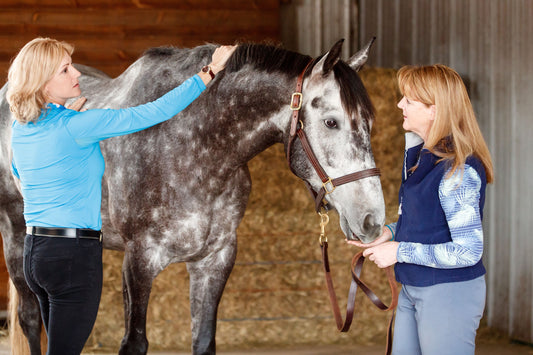 Collagen: The Secret to a Healthy, Shiny Coat