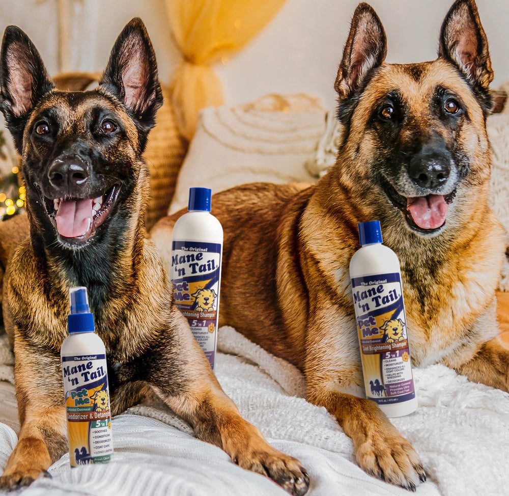 ProTect Antimicrobial Medicated Shampoo