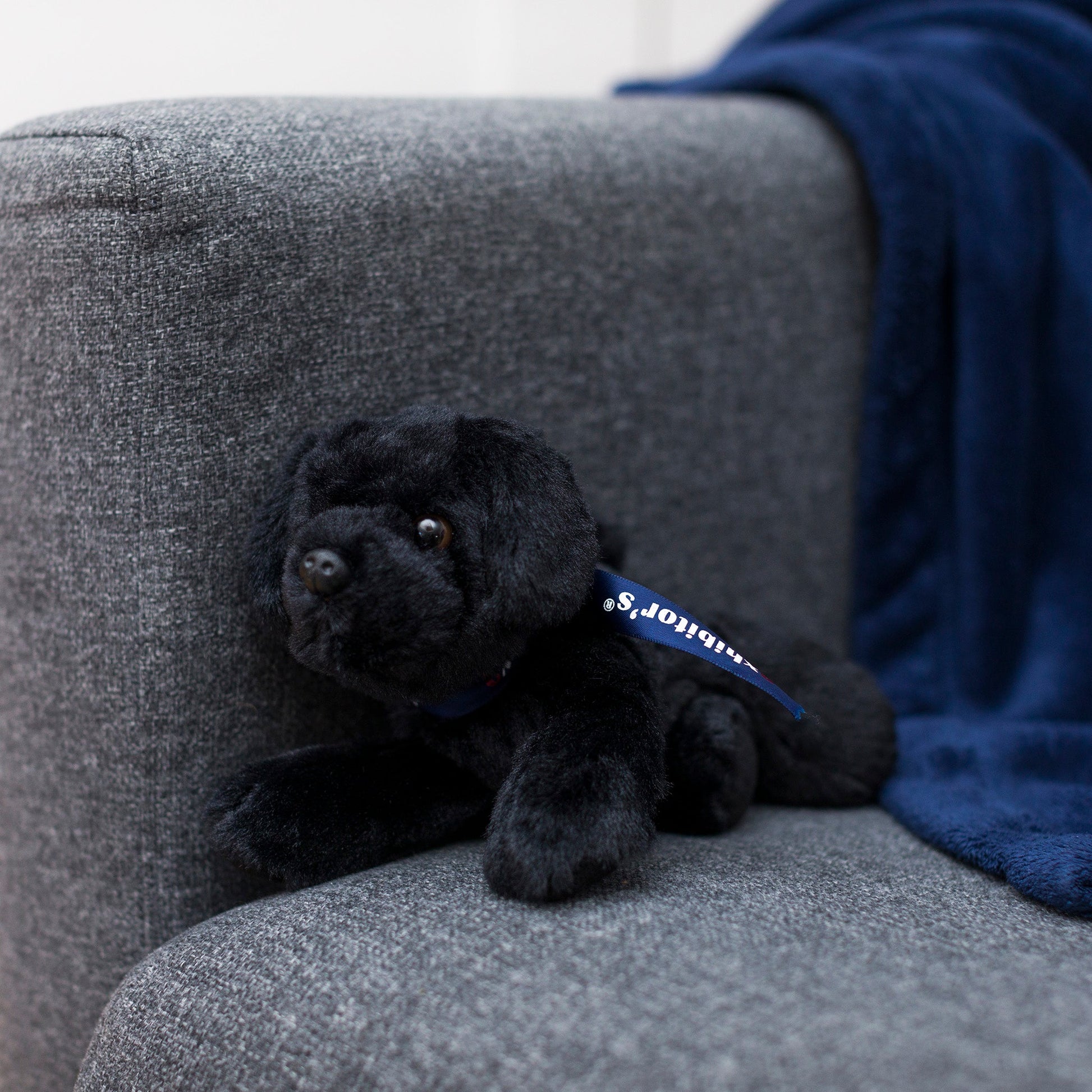 Small Boston Terrier dog stuffed animal wearing a royal blue branded mane 'n tail bandana. Standing on a couch