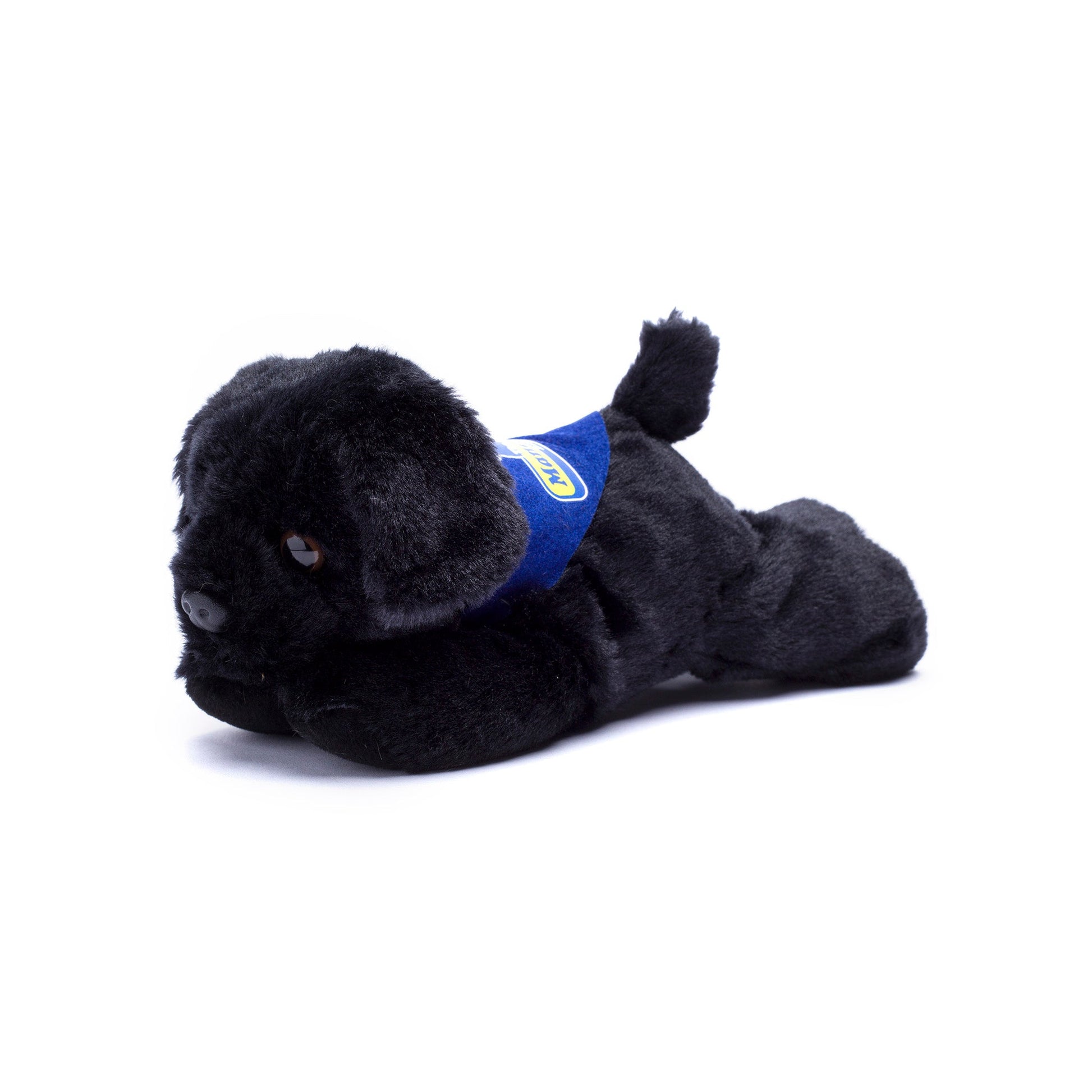 Small Black Labrador dog stuffed animal wearing a royal blue branded mane 'n tail bandana. Standing in a white background