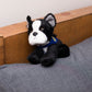 Small Boston Terrier dog stuffed animal wearing a royal blue branded mane 'n tail bandana. Standing on a cushion