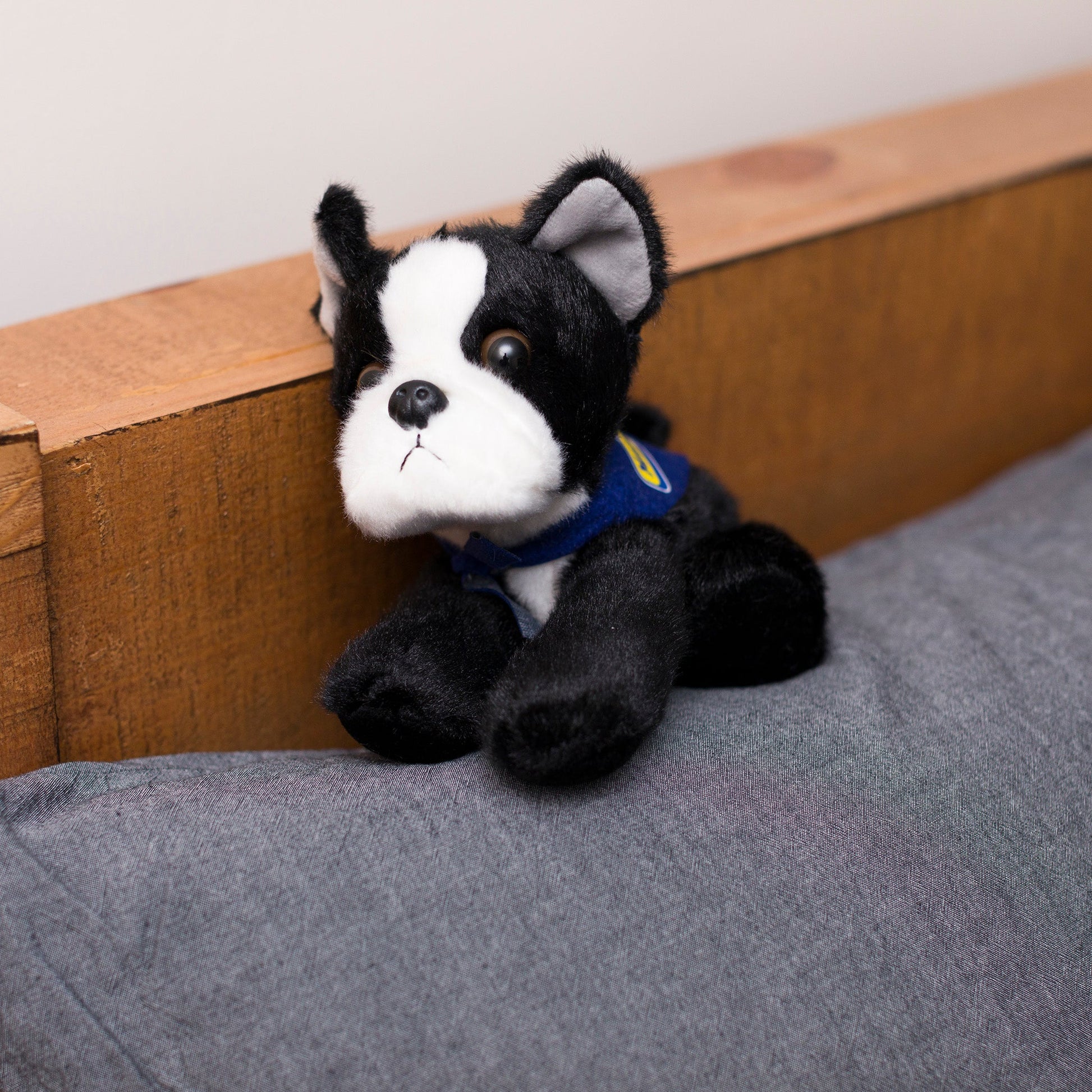 Small Boston Terrier dog stuffed animal wearing a royal blue branded mane 'n tail bandana. Standing on a cushion