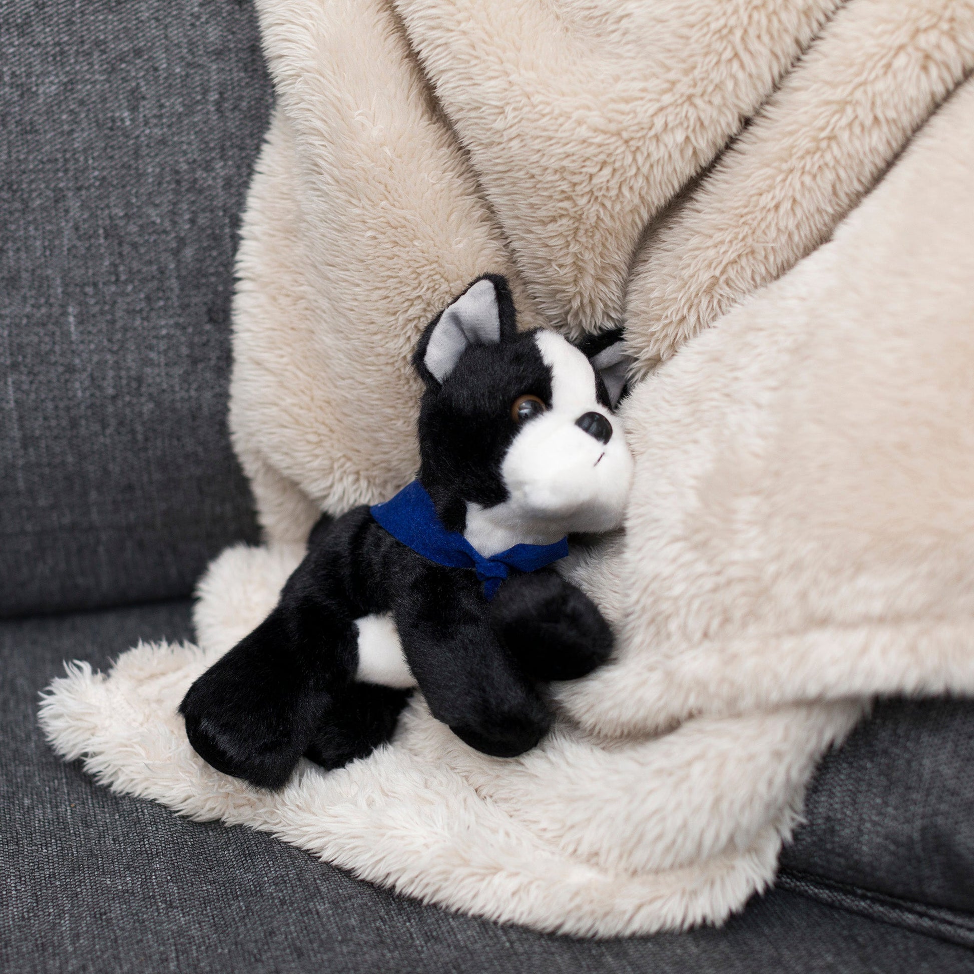 Small Boston Terrier dog stuffed animal wearing a royal blue branded mane 'n tail bandana. Standing on a blanket
