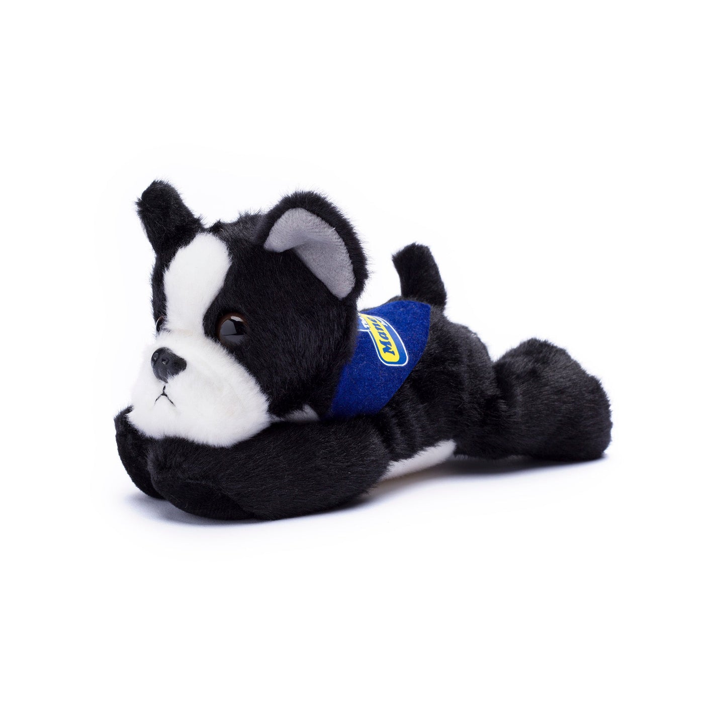 Small Boston Terrier dog stuffed animal wearing a royal blue branded mane 'n tail bandana. Standing in a white background