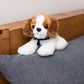 Small Cavalier King Charles dog stuffed animal wearing a royal blue branded mane 'n tail bandana. Standing on a cushion