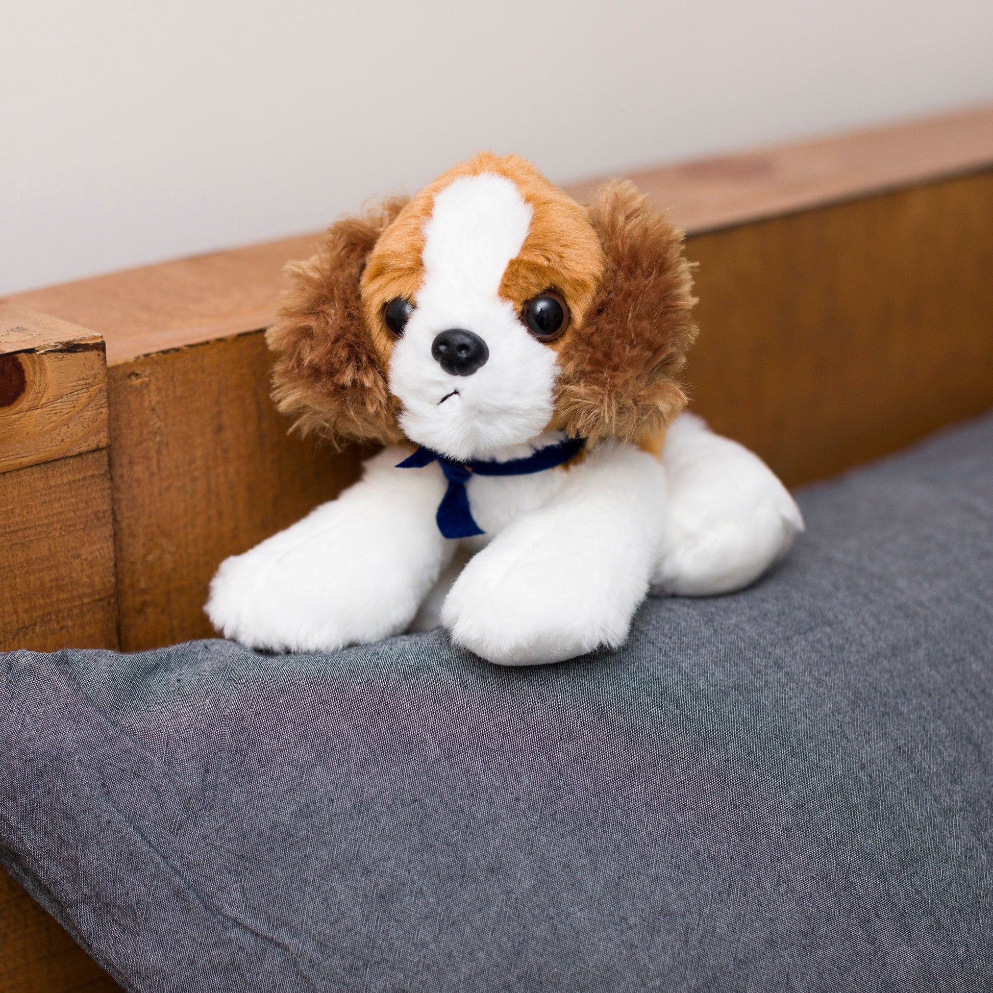 Small Cavalier King Charles dog stuffed animal wearing a royal blue branded mane 'n tail bandana. Standing on a cushion
