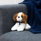 Small Cavalier King Charles dog stuffed animal wearing a royal blue branded mane 'n tail bandana. Standing on the couch