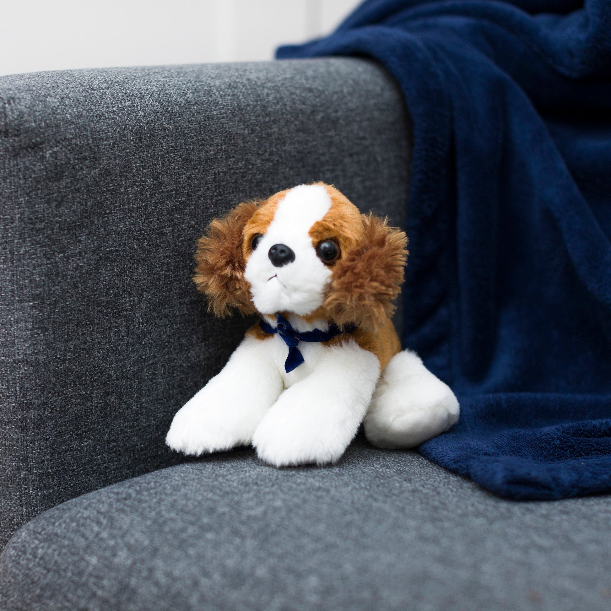 Small Cavalier King Charles dog stuffed animal wearing a royal blue branded mane 'n tail bandana. Standing on the couch