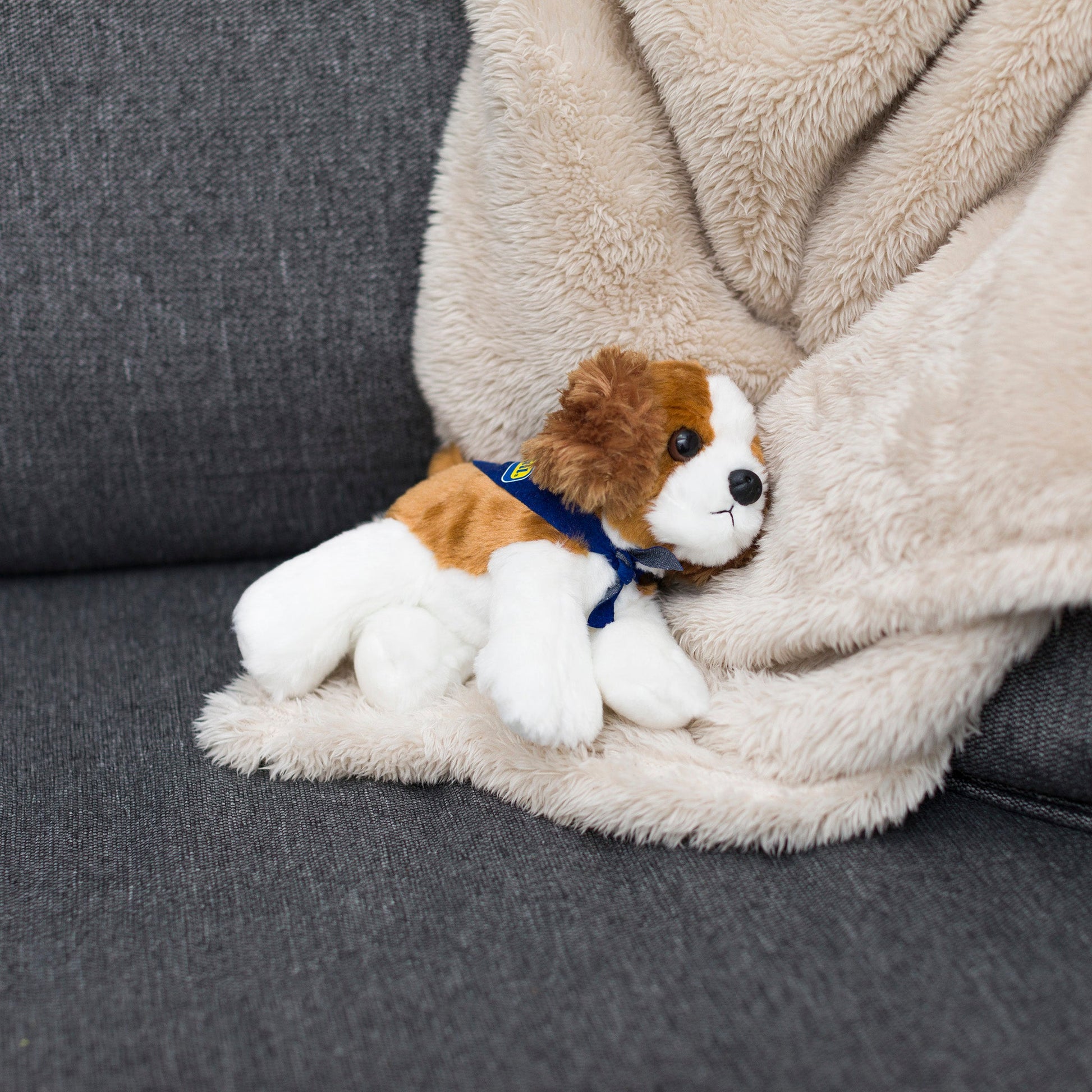 Small Cavalier King Charles dog stuffed animal wearing a royal blue branded mane 'n tail bandana. Standing on a blanket