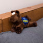 Small Chestnut horse stuffed animal wearing a royal blue branded mane 'n tail saddle. Standing on a cushion