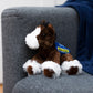 Small brown Clydes horse stuffed animal wearing a royal blue branded mane 'n tail saddle. Standing on a couch