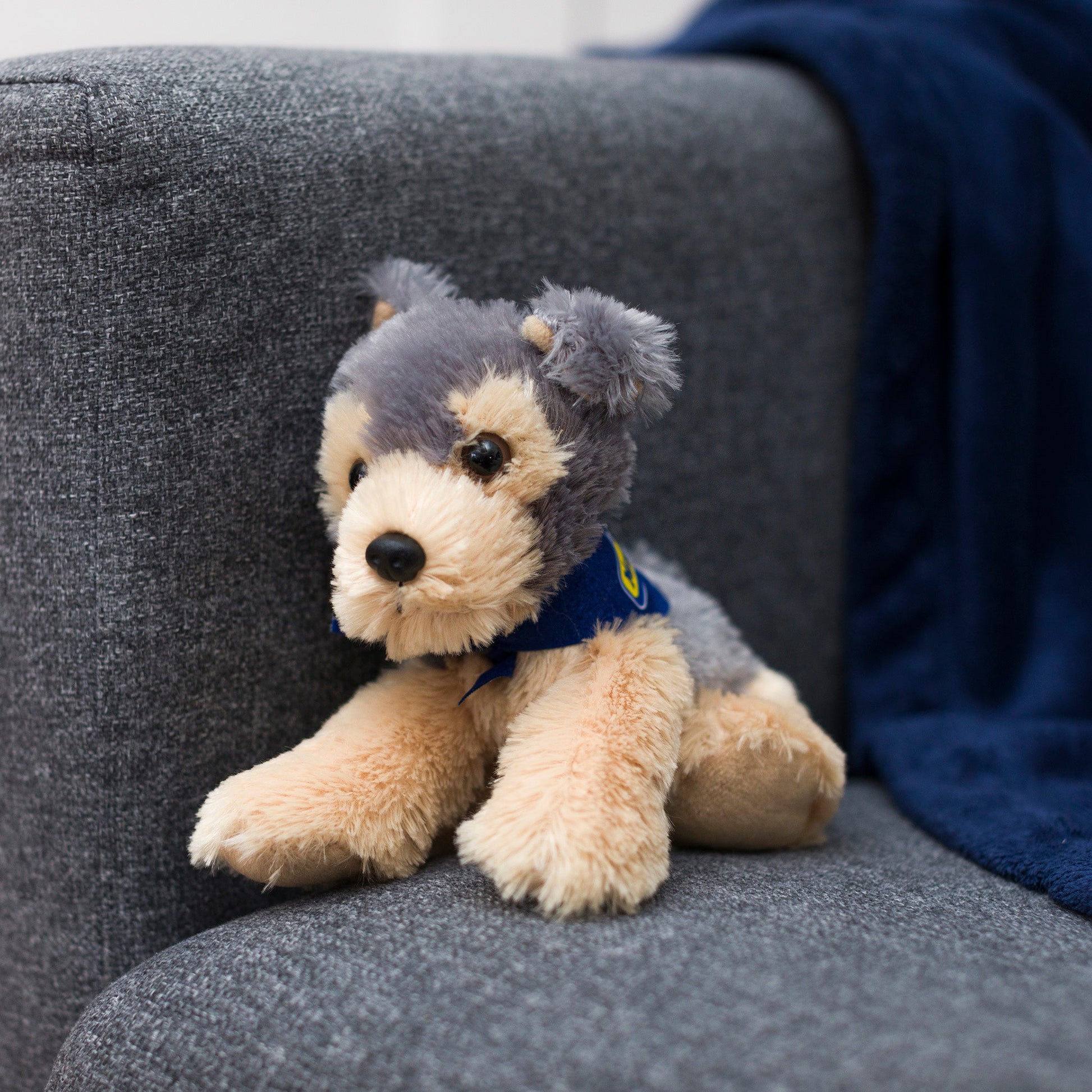 Small Yorkshire Terrier dog stuffed animal wearing a royal blue branded mane 'n tail bandana. Standing on a couch