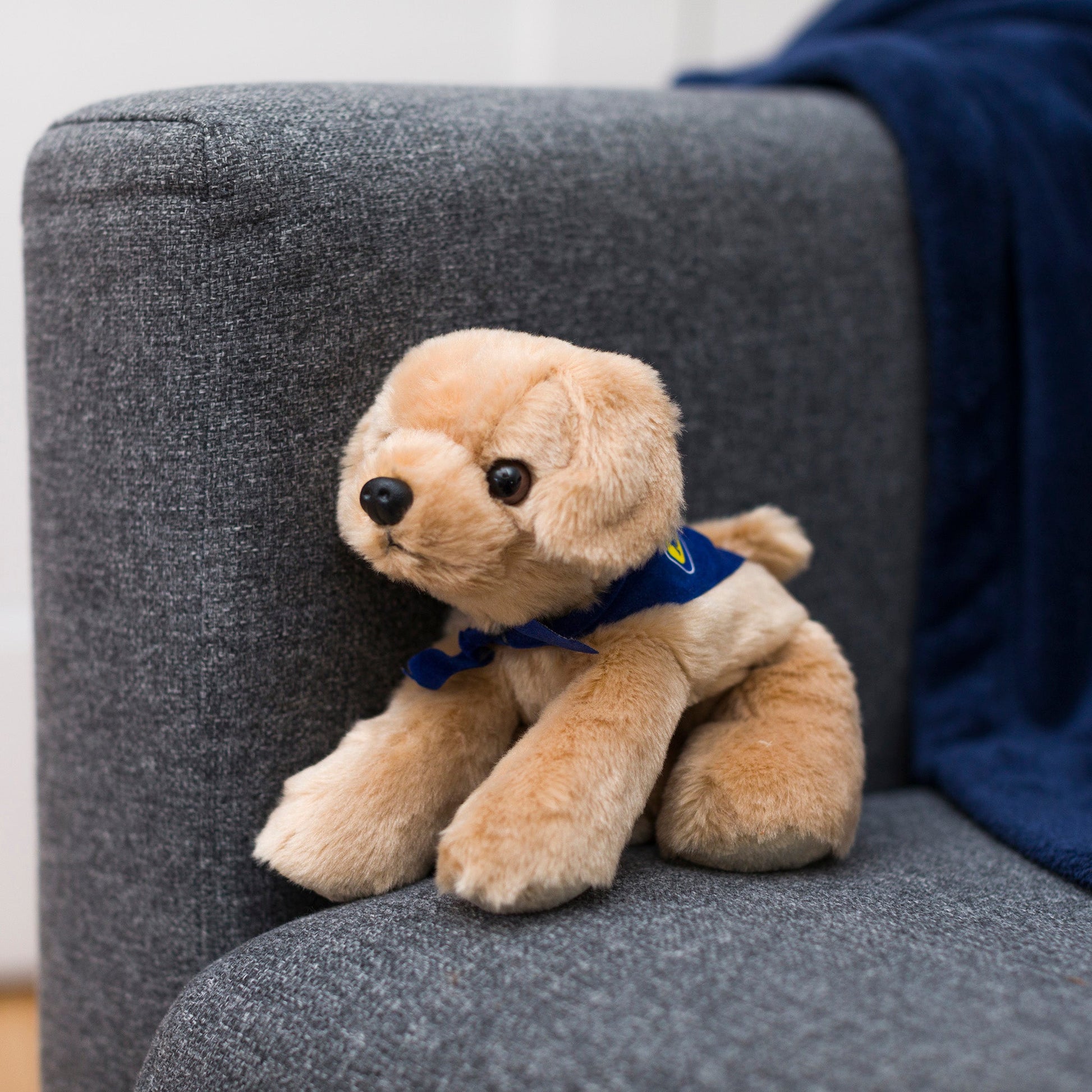 Small Golden Lab dog stuffed animal wearing a royal blue branded mane 'n tail bandana. Standing on a couch