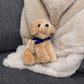 Small Golden Lab dog stuffed animal wearing a royal blue branded mane 'n tail bandana. Standing on a blanket