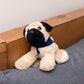 Small Mr.Pugster Pug dog stuffed animal wearing a royal blue branded mane 'n tail bandana. Standing on a cushion