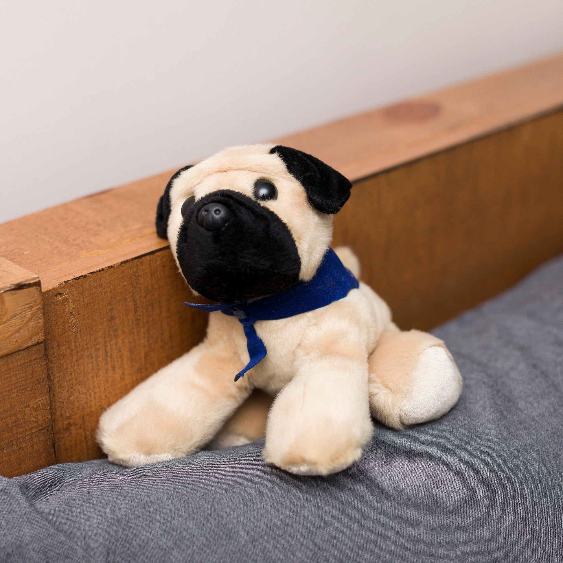 Small Mr.Pugster Pug dog stuffed animal wearing a royal blue branded mane 'n tail bandana. Standing on a cushion