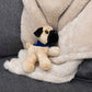 Small Mr.Pugster Pug dog stuffed animal wearing a royal blue branded mane 'n tail bandana. Standing on a blanket