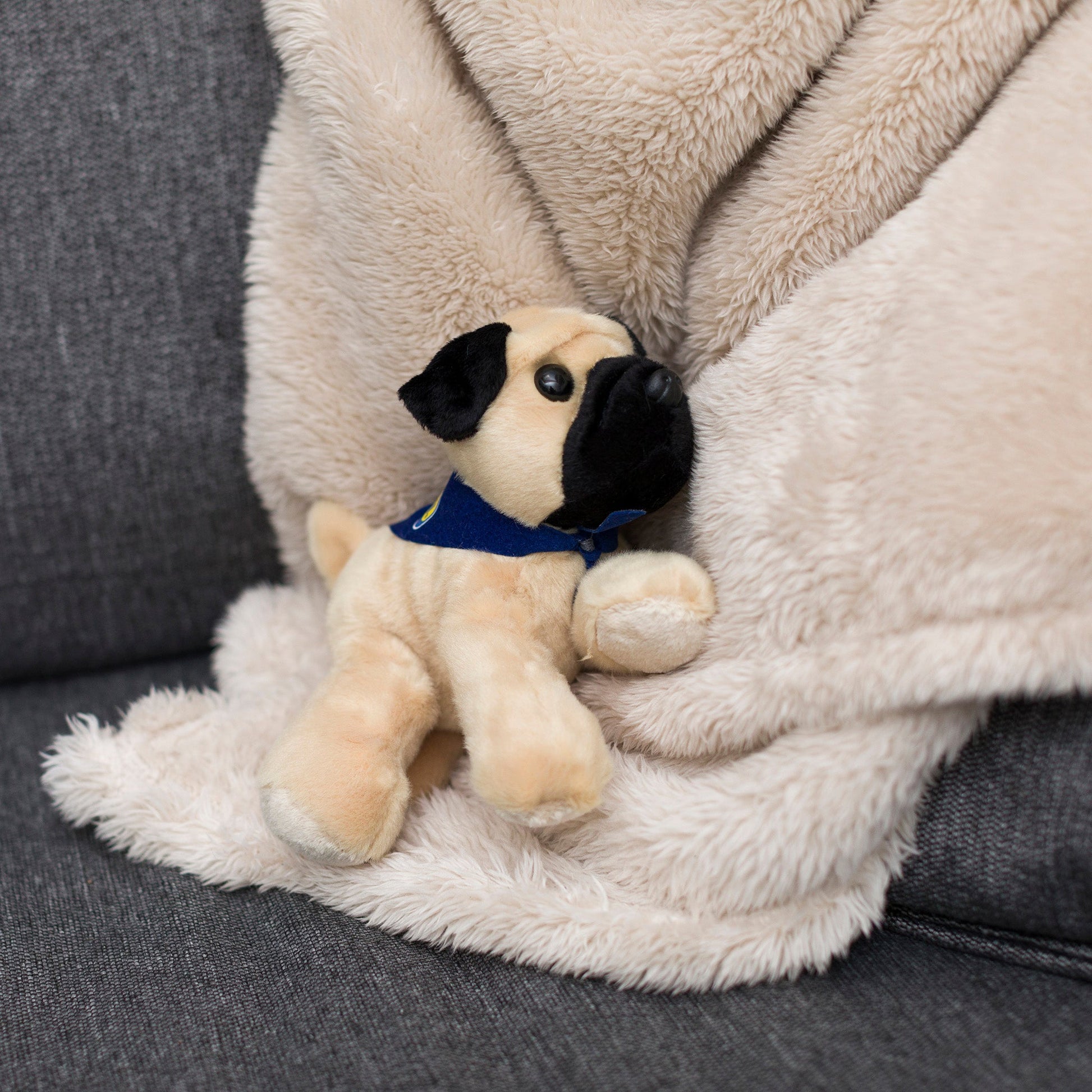 Small Mr.Pugster Pug dog stuffed animal wearing a royal blue branded mane 'n tail bandana. Standing on a blanket