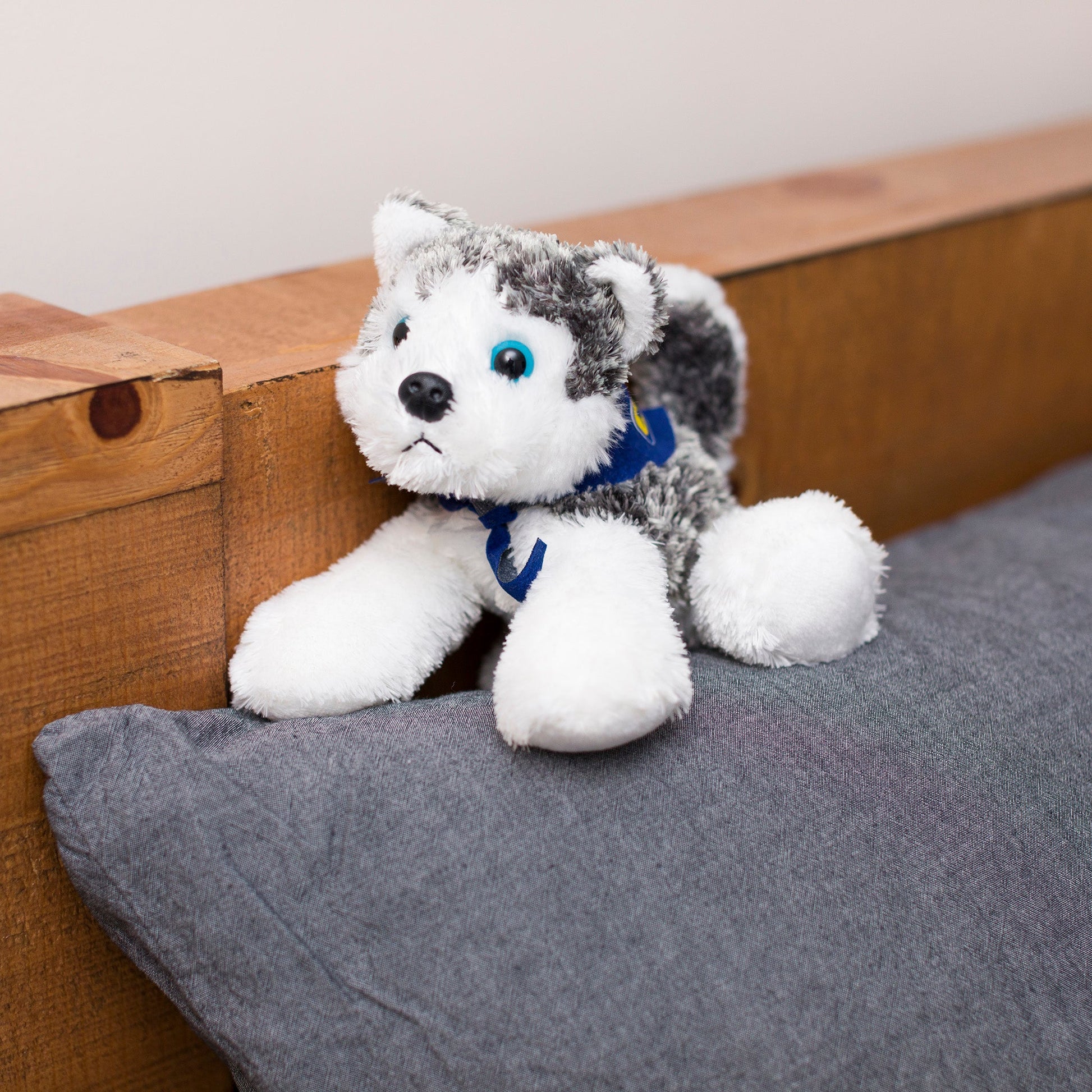 Small Husky dog stuffed animal wearing a royal blue branded mane 'n tail bandana. Standing on a cushion