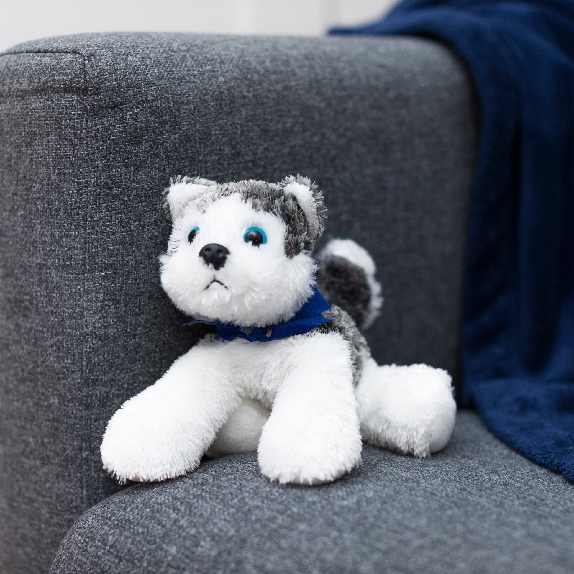 Small Husky dog stuffed animal wearing a royal blue branded mane 'n tail bandana. Standing on a couch