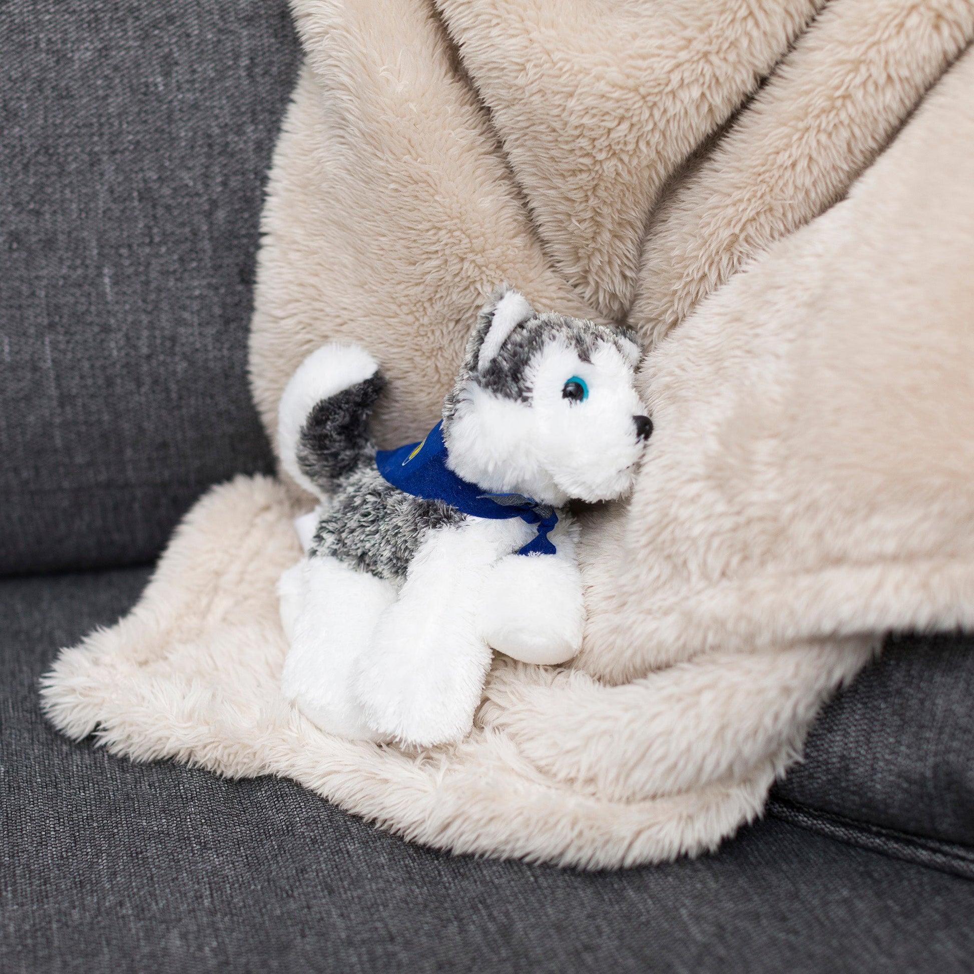 Small Husky dog stuffed animal wearing a royal blue branded mane 'n tail bandana. Standing on a blanket