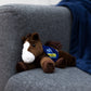 Small Paint horse stuffed animal wearing a royal blue branded mane 'n tail saddle. Standing on a couch
