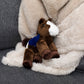 Small Paint horse stuffed animal wearing a royal blue branded mane 'n tail saddle. Standing on the blanket