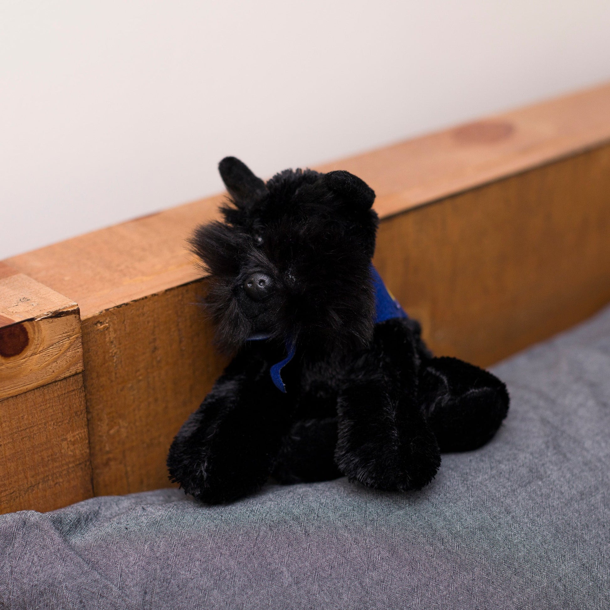 Small Scottish Terrier stuffed animal wearing a royal blue branded mane 'n tail bandana. Standing on a cushion.