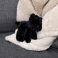 Small Scottish Terrier stuffed animal wearing a royal blue branded mane 'n tail bandana. Standing in a blanket