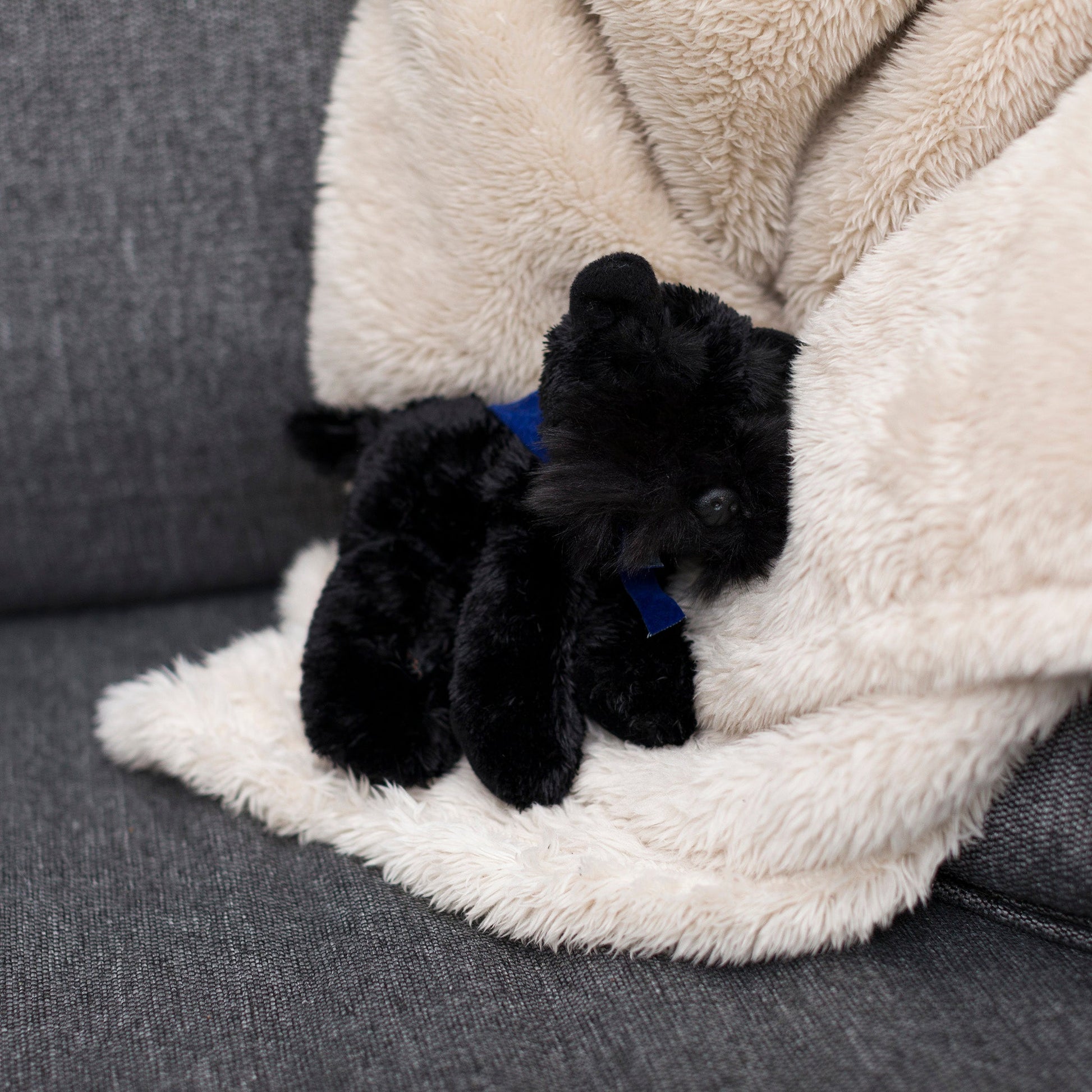 Small Scottish Terrier stuffed animal wearing a royal blue branded mane 'n tail bandana. Standing in a blanket