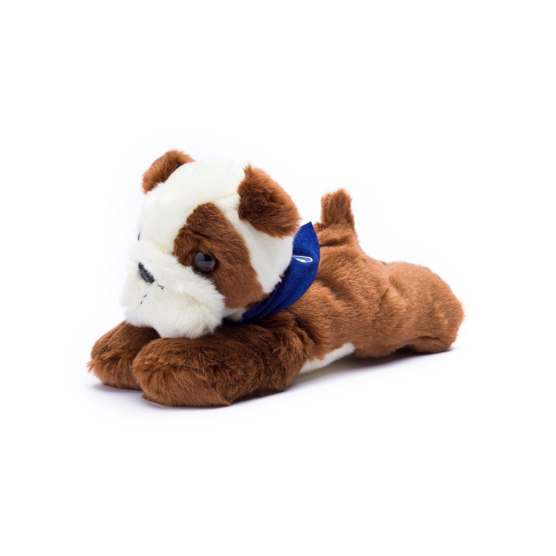 Small Bulldog stuffed animal wearing a royal blue branded mane 'n tail bandana. Standing in a white background